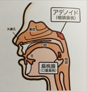 421ABE93-FF82-428A-B23B-4B0E6740E1B8