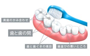 9AFDB921-4488-438B-A331-39FB4AEC5014