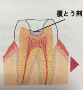 A3F26F39-DFA8-4A58-A1B8-1902CFDCDBDA