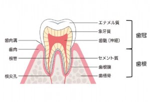 EE59A94F-5C36-4ED8-9F50-BEB06F830B84