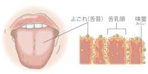 フロス 臭い ところが ある